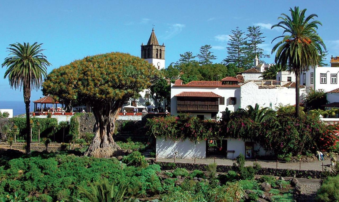 Apartamento Monis Natura Icod De Los Vinos Exteriér fotografie
