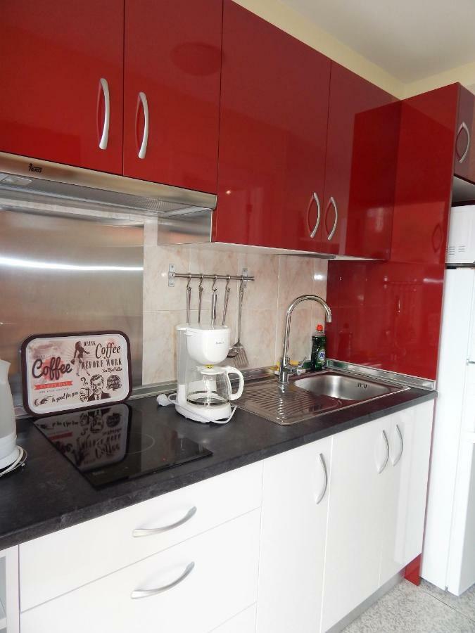 Apartamento Monis Natura Icod De Los Vinos Exteriér fotografie